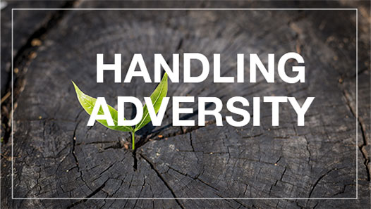 Handling Adversity